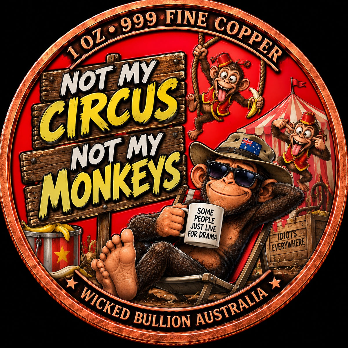 Not My Circus Not My Monkeys front
